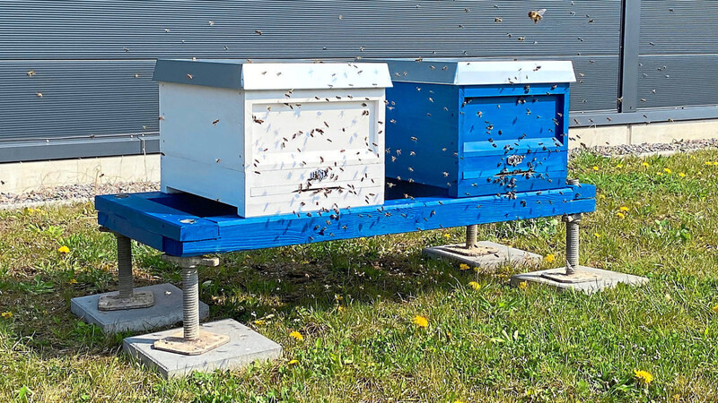 Hinter einer Seitenhalle des Logistikzentrums beherbergt HAIX Bienenvölker.