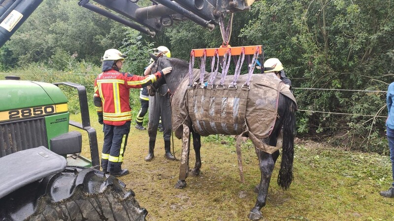 Die örtlichen Feuerwehren mussten am Dienstag ein ausgebüxtes Pferd bei Kumhausen im Landkreis Landshut aus einer misslichen Lage befreien.