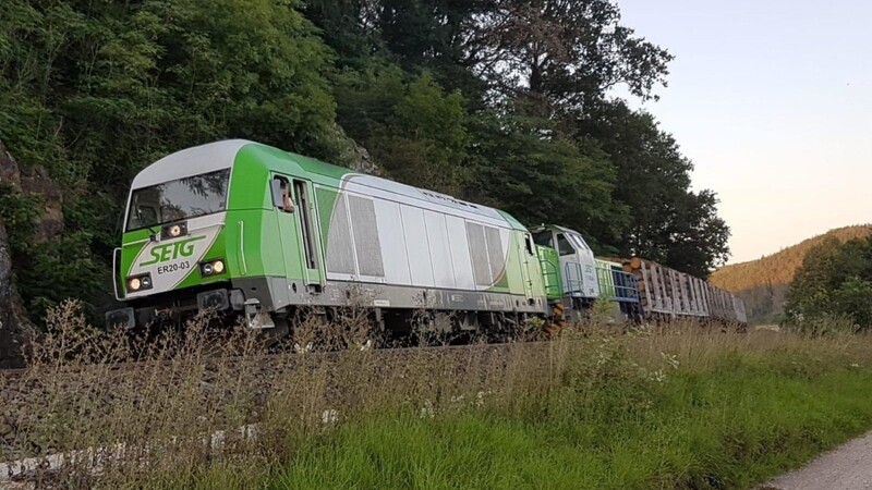 80 Kilometer raste der mit Holz beladene Güterzug im August 2019 durch Oberfranken und die Oberpfalz.