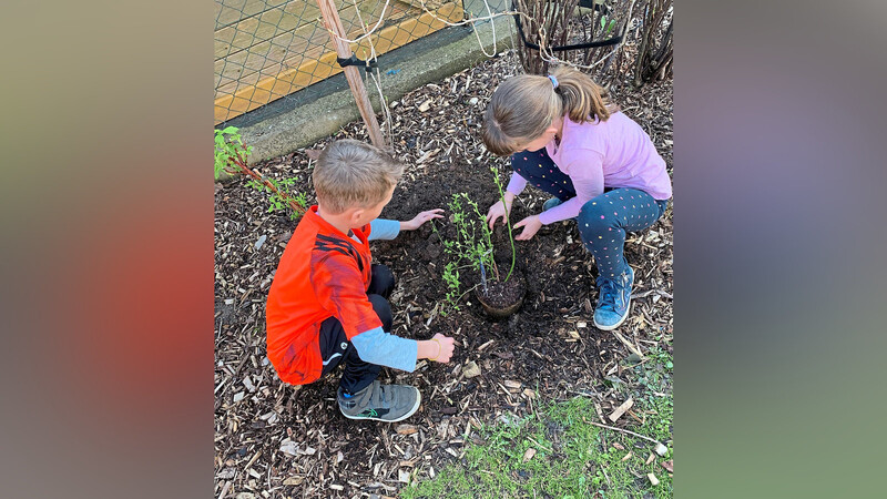 Auch Kinder können bei der Gartenarbeit gut mithelfen.