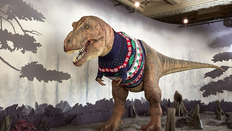 Der Pullover für den T-Rex ist etwa zwölf Mal so groß wie ein normaler Jumper.