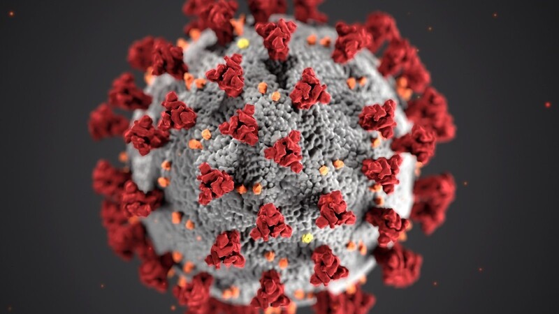 Corona-Virus. (Symbolbild)
