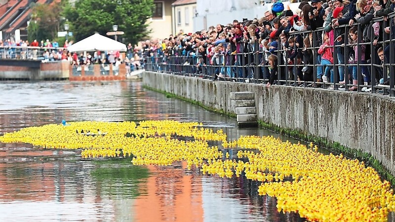 Das Rennen der 6.000 Gummienten erstreckte sich auch in diesem Jahr wieder von der Luitpoldbrücke bis zum Maxwehr.