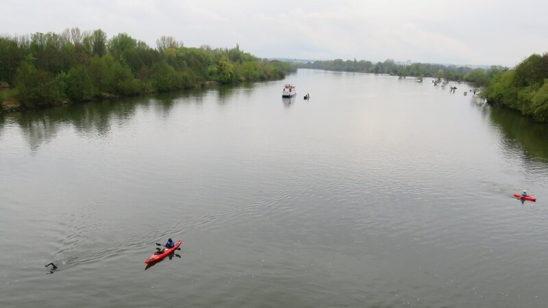 Auf dem Weg nach Donaustauf schwimmt Professor Andreas Fath durch die Donau (links unten im Bild).