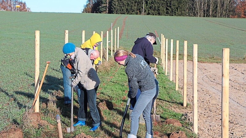 Voller Tatendrang haben freiwillige Helfer des Bund Naturschutz in Baierbach und Neufraunhofen rund 300 einheimische Sträucher gepflanzt.