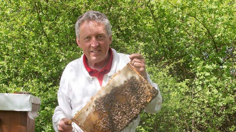Imker Johannes Selmansberger hat 20 Bienenvölker. Er arbeitet ohne Gesichtsschutz und Handschuhe und wird daher öfters gestochen