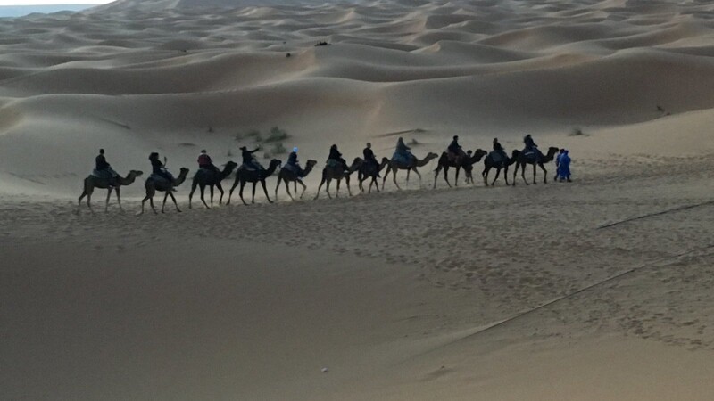 Mit der Dromedar-Karawane in die Sahara zum Sonnenaufgang.