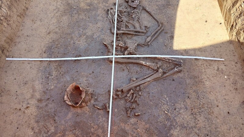 Dieses Skelett aus der Glockenbecherkultur ist in Stephansposching im Donautal im Landkreis Deggendorf gefunden worden.