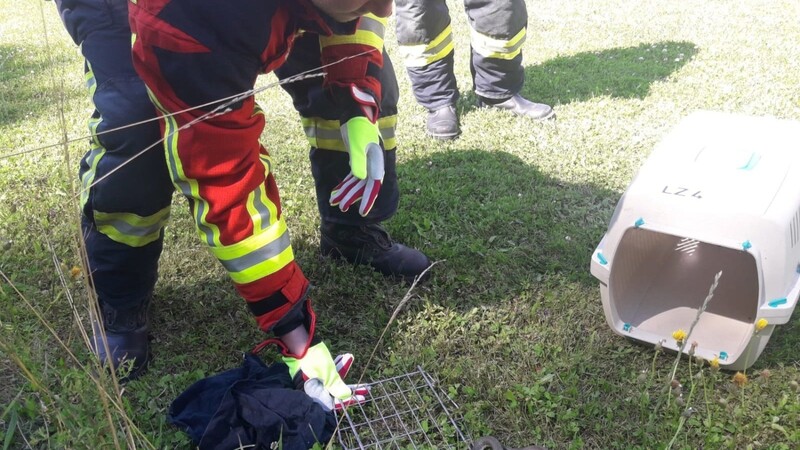 40 Mal rückte die Feuerwehr aus, um Tiere aus misslichen Lagen zu retten