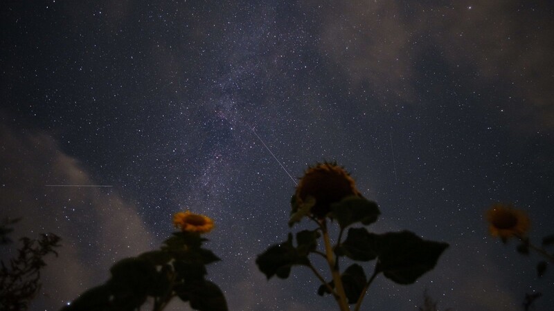 Sternschnuppen der Perseiden sind neben der Milchstraße am Nachthimmel zu sehen. Diese Aufnahme ist bereits 2020 entstanden. Am 12. und 13. August sollen die Perseiden in diesem Jahr besonders gut zu sehen sein.