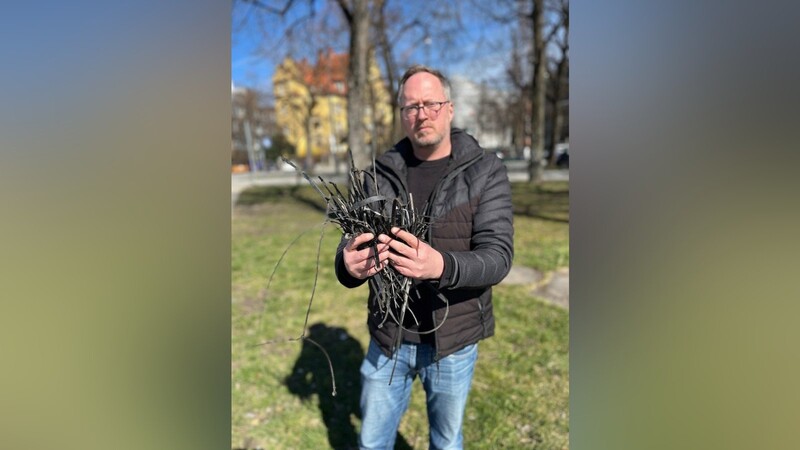 Arne Brach, Sprecher der Grünen im Bezirksausschuss Ludwigs-/Isarvorstadt, findet beim Gassigehen mit seinem Hund ständig Kabelbinder im Nordostteil der Theresienwiese.