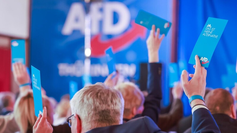 Anderthalb Jahre ist es her, dass CDU-Chef Friedrich Merz den Anspruch erhoben hat, die AfD zu halbieren. Doch seither hat sie sich in den Umfragen ungefähr verdoppelt