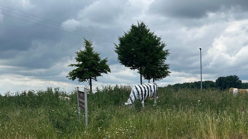 Eine der Kühe am Gottfriedinger Kreisel erinnert nun mehr an ein Zebra. Sie wurde mit schwarzen Streifen beschmiert.