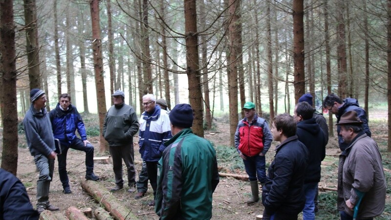 Bei der diesjährigen Waldbegehung erhalten die Waldbesitzer viele Informationen über das Dauerthema "Durchforstung" sowie die aktuelle Lage auf dem Holzmarkt.
