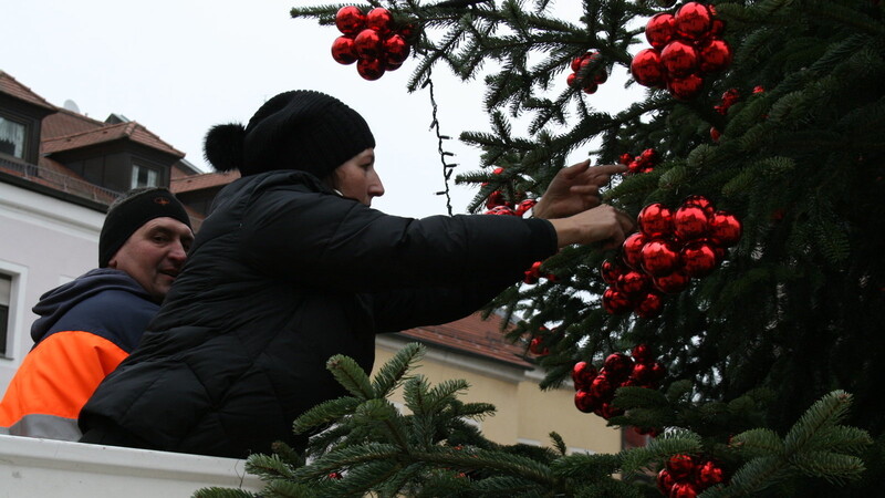 Lisa Sittenauer hat alle Jahre die ehrenvolle Aufgabe, der Stadt Cham den weihnachtlichen Schmuck zu verleihen. Aber noch fehlt der passende Tannenbaum für den Marktplatz.