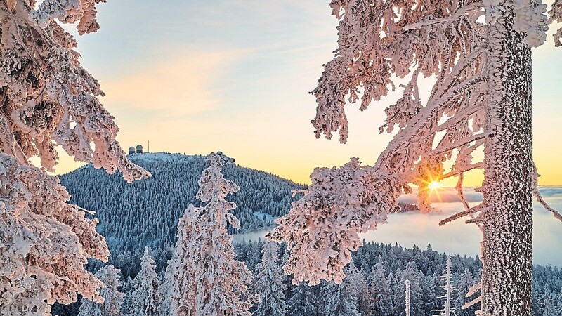 "Ein Gast, der einen Winterurlaub bucht, will Schnee sehen", ist sich Joli Haller, Bürgermeister von Bodenmais, sicher.