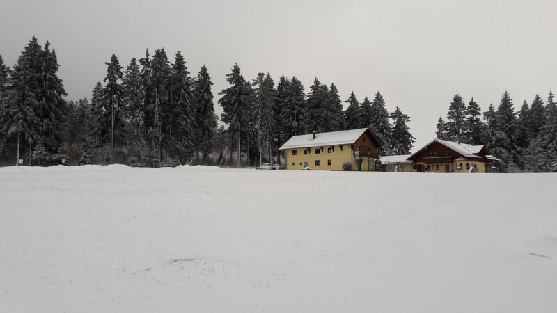 Weiße Weihnachten und winterliches Wetter in Sankt Englmar bei fünf Zentimeter Schneehöhe.