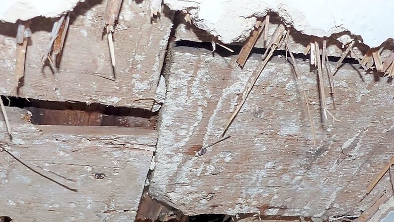 Die freigelegten Balkenköpfe der Holzkonstruktion weisen im Auflagerbereich Fäulnisbildung auf.
