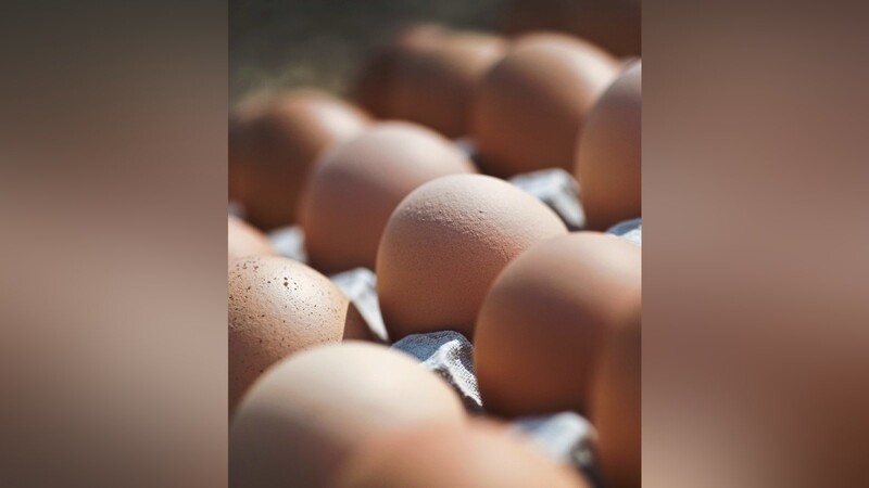 Als sie in einem Bauernhof überrascht wurden, kauften die Angeklagten kurzerhand zehn Eier.