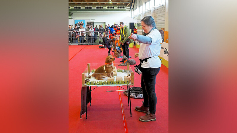 Die Therapiehunde zeigen ihr Können im großen Rahmenprogramm von der Messe "Mein Hund".