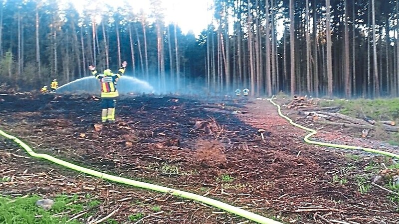 Fast 7 000 Quadratmeter Wald wurden zwischen Eugenbach und Beutelhausen ein Raub der Flammen.