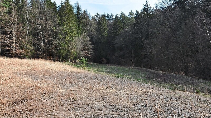 Hier in diesem Bereich - hinter dem Weiler Himmelmühle sollen Brunnenbohrungen erfolgen. Die Grundstückseigentümer wehren sich, gegen die Ausweisung eines Wasserschutzgebietes.