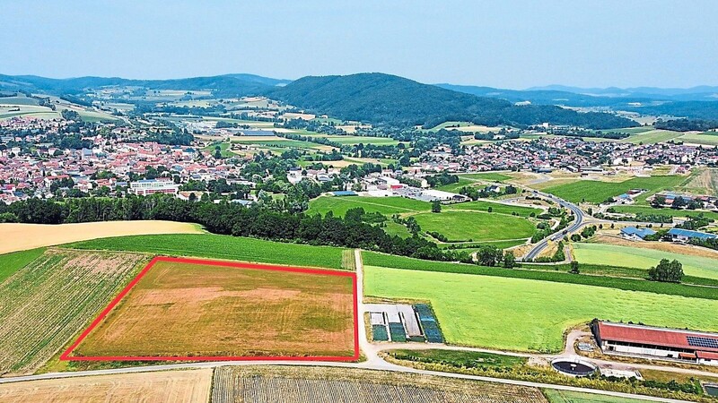 Auf dieser Fläche zwischen Wutzmühle und Grasmannsdorf soll eine Photovoltaikanlage, die 2918 KWp Strom erzeugt, gebaut werden.