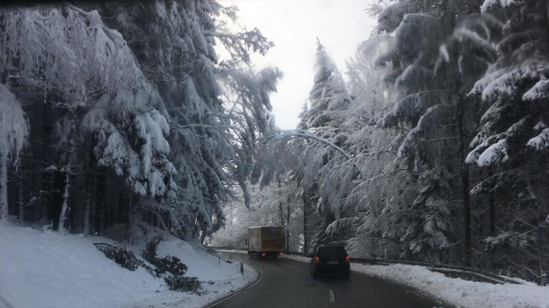 Die Bäume biegen sich deutlich unter der Schneelast - hier eine Aufnahme von Montagmorgen zwischen Lammerbach und Pirka.