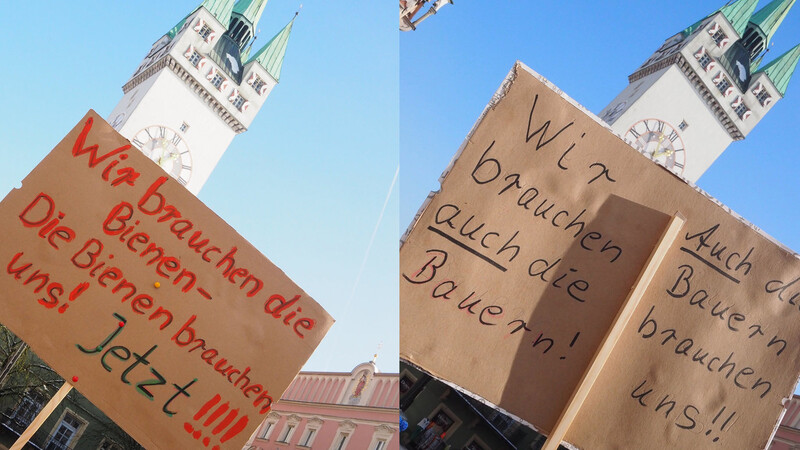 Zwei Seiten eines Plakats von Unterstützern des Volksbegehrens "Rettet die Bienen" am Stadtplatz.