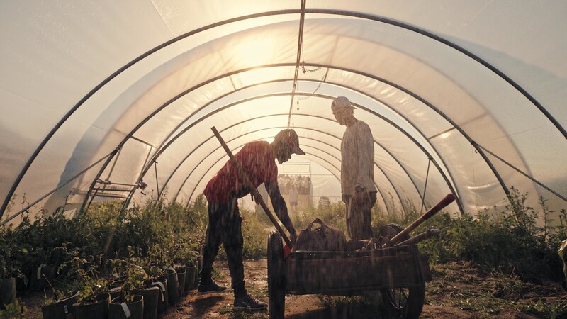 Szene aus Farm Rebellion: Johannes Harms, der sich bei Gut und Bösel um die Baumschule kümmert, mit Julius Otieno-Onyango. Der Kenianer ist Mitarbeiter von Auma Obamas Projekt Sauti Kuu. Dort werden finanziell und sozial benachteiligte Kinder unter anderem unterstützt, indem sie landwirtschaftliche Kenntnisse erlangen.