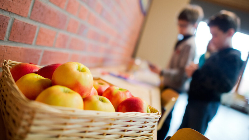An den Grund- und Mittelschulen, die sich am EU-Schulprogramm beteiligen, steht Obst und Gemüse regelmäßig auf dem Programm. In vielen Schulen im Landkreis gibt es aber auch noch andere Aktionen.