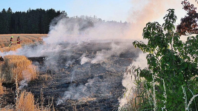 Auf einer Fläche von rund 3000 Quadratmetern ist bei Mainburg ein Kornfeld abgebrannt.
