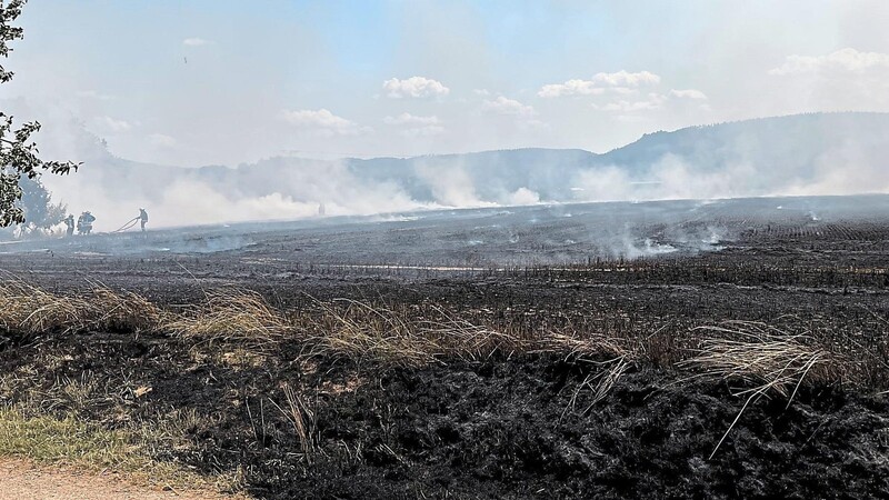 Die Feuerwehren im KBI-Bereich Waldmünchen mussten am Sonntag zu mehreren Flächenbränden ausrücken.