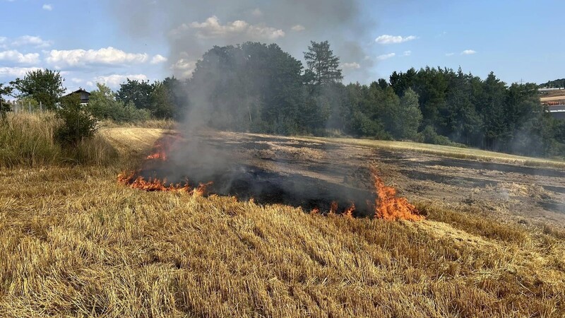 In Viechtach loderten Flammen auf einem Feld.  Fotos: