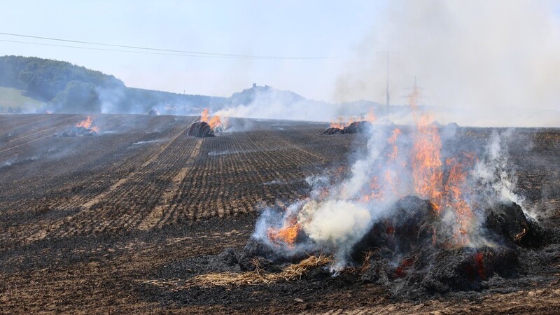 Auf rund 1,5 Hektar fraß sich ein Flächenbrand bei Völling durch ein abgeerntetes Getreidefeld.