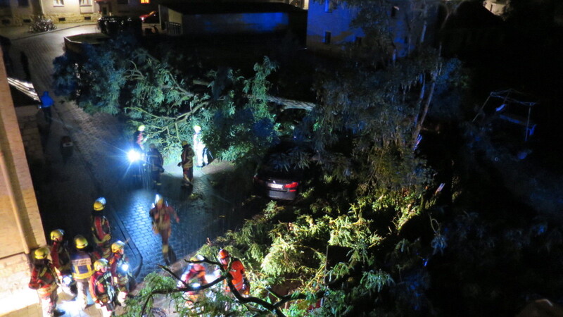 Der Baum stürzte in der Nacht zum Mittwoch auf mehrere geparkte Autos.