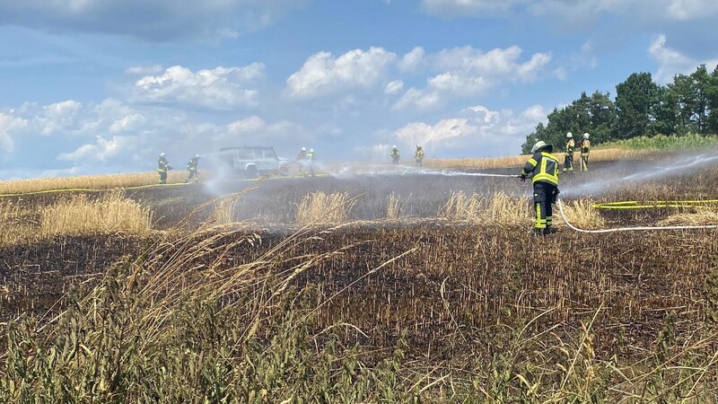 Ein gut 1.000 Quadratmeter großes Getreidefeld stand in Flammen und wurde von den Feuerwehr abgelöscht.