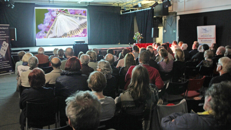 Zum letzten Block des Landes-Filmfestivals waren nahezu alle Sitzplätze des Anstatt-Theaters belegt.