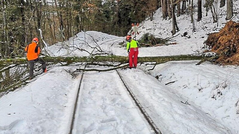 Winterliche Witterung, Schneebruch und Wind machen der Waldbahn zu schaffen. Der Länderbahn-Geschäftsführer Wolfgang Pollety kritisiert den Infrastrukturbetreiber DB-Netz.