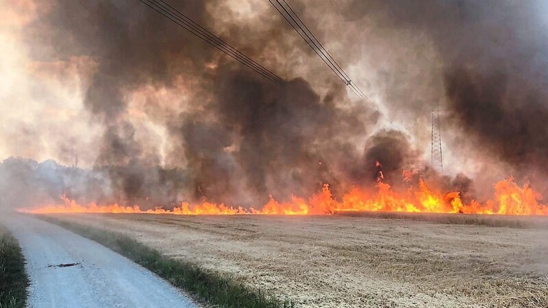 Auf einem Feld kurz vor dem Dingolfinger Stadtwald loderten am 9. Juli die Flammen auf über zwei Hektar Fläche in die Höhe.