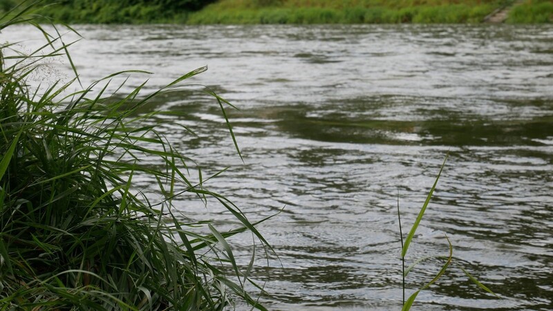 Nach dem Niedrigwasser in den vergangenen Wochen führt die Isar mittlerweile wieder mehr Wasser.