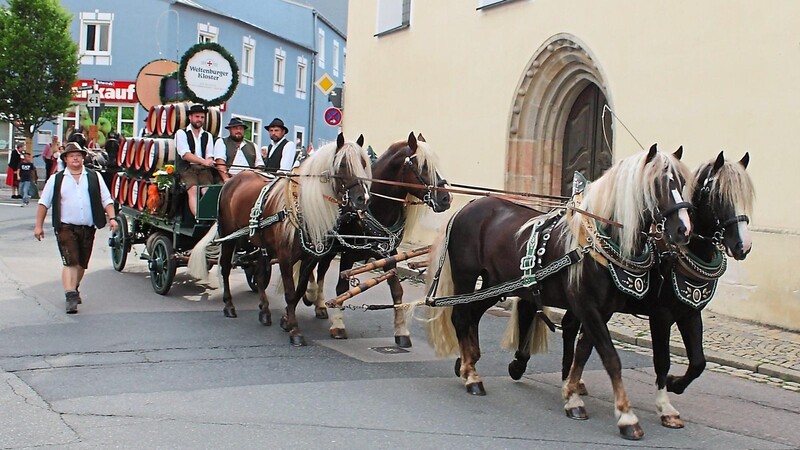 Entspannte Pferde: Auch Vierbeiner lieben den großen Auftritt wie hier beim diesjährigen Volksfestumzug in Cham.