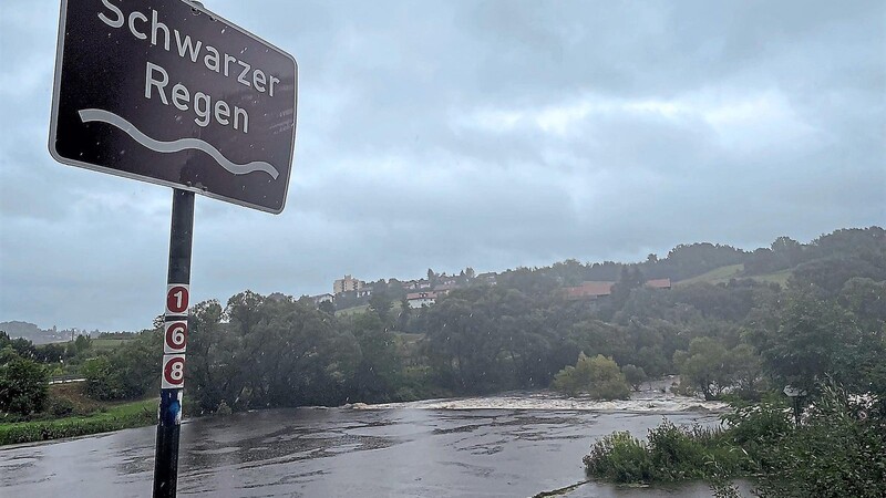 Der Schwarze Regen bei Viechtach bei relativ hohem Wasserstand.