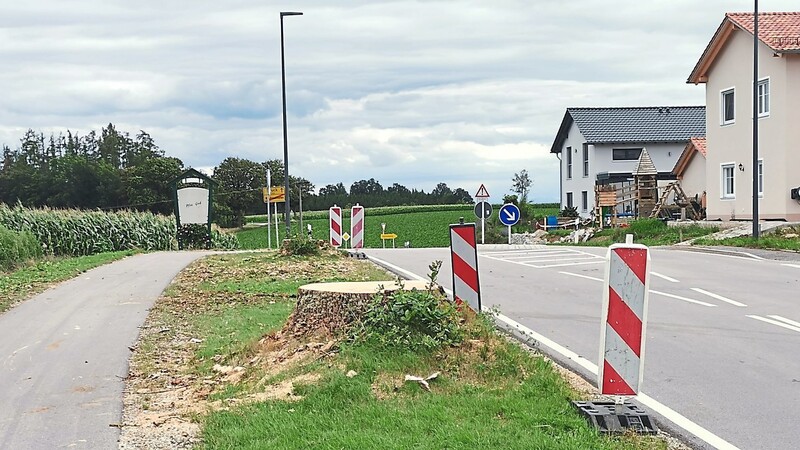 Die Reste der entfernten Eschen an der Staatsstraße am Ortseingang von Neufraunhofen.