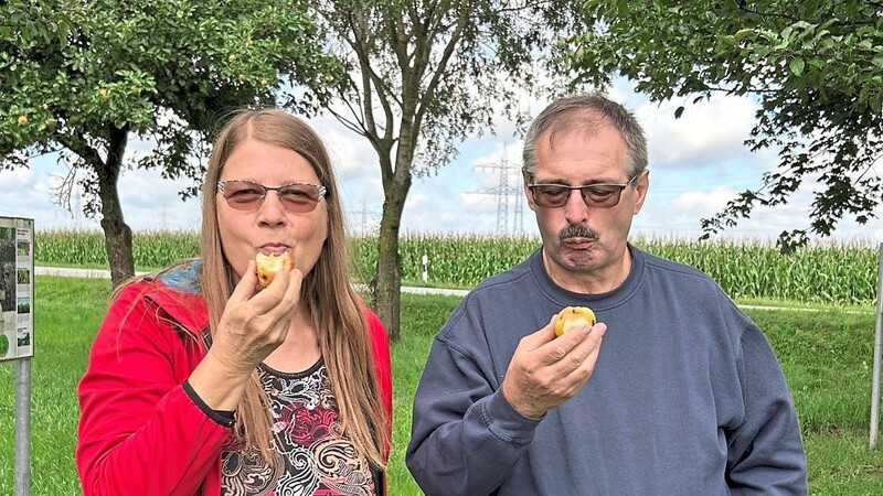 Die beiden Vorsitzenden Hannelore Vogl und Ludwig Kleeberger kosten schon mal von den Frühäpfeln, die auf der Streuobstwiese gerade reif sind.