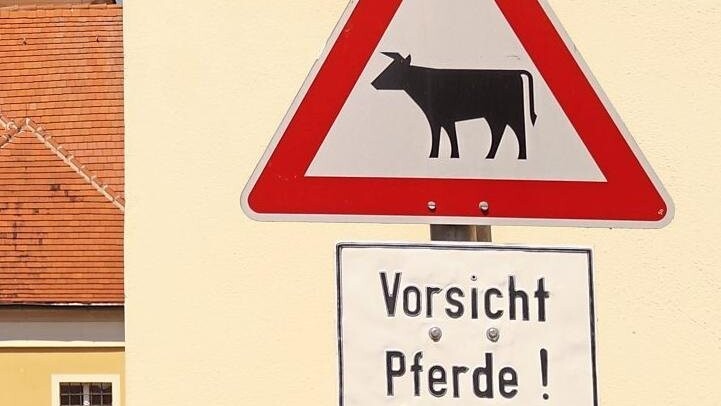 Biegt man in Adldorf von der Hauptstraße in die Wannersdorfer Straße in Richtung Pfarrkirche Mariä Empfängnis ein, so werden Verkehrsteilnehmer durch dieses Schild vor Kühen - ähm Pferden - gewarnt.