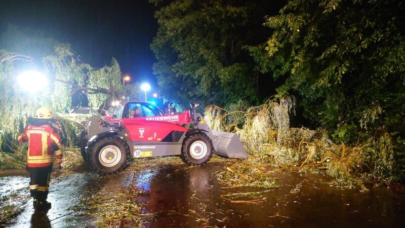 Die Einsatzkräfte der Feuerwehr mussten in der Nacht zum Montag wieder zu umgestürzten Bäumen ausrücken.