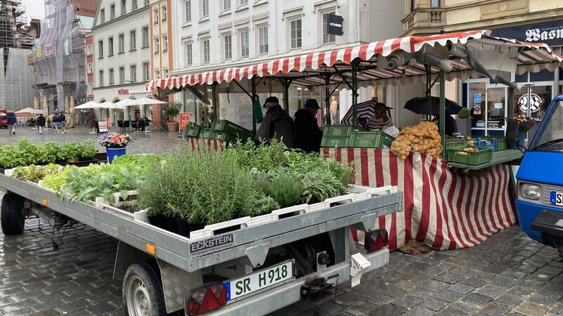 Bei jedem Wetter stehen die Gemüsehändler am Ludwigsplatz. "Wir nehmen es eben, wie es ist", sagt Franz Ingerl.
