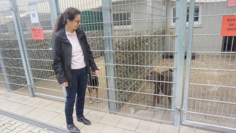 "Es werden viel mehr Tiere einfach ausgesetzt", sagt Tierheimvorsitzende Ariane Weckerle.