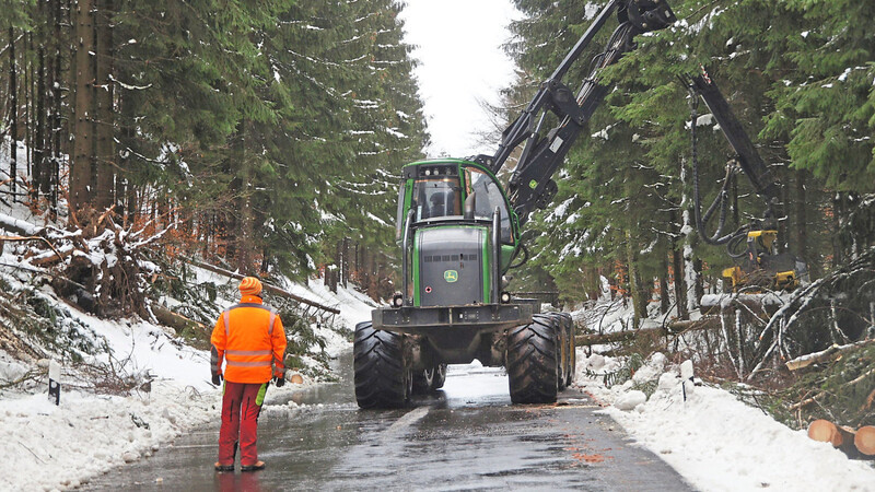 Ein Harvester begann am Montagmittag damit, umgestürzte Bäume zu beseitigen. Die Maschine ist auch heute im Einsatz.